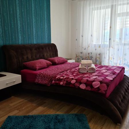 Premium Apartment Isaran Брашов Екстериор снимка